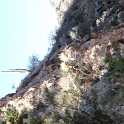 Saguaro  sentinal at Sabino Canyon